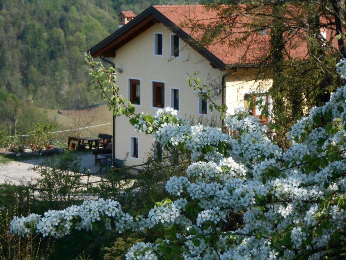 Agriturismo La Casa Nei Boschi Colderu Zewnętrze zdjęcie