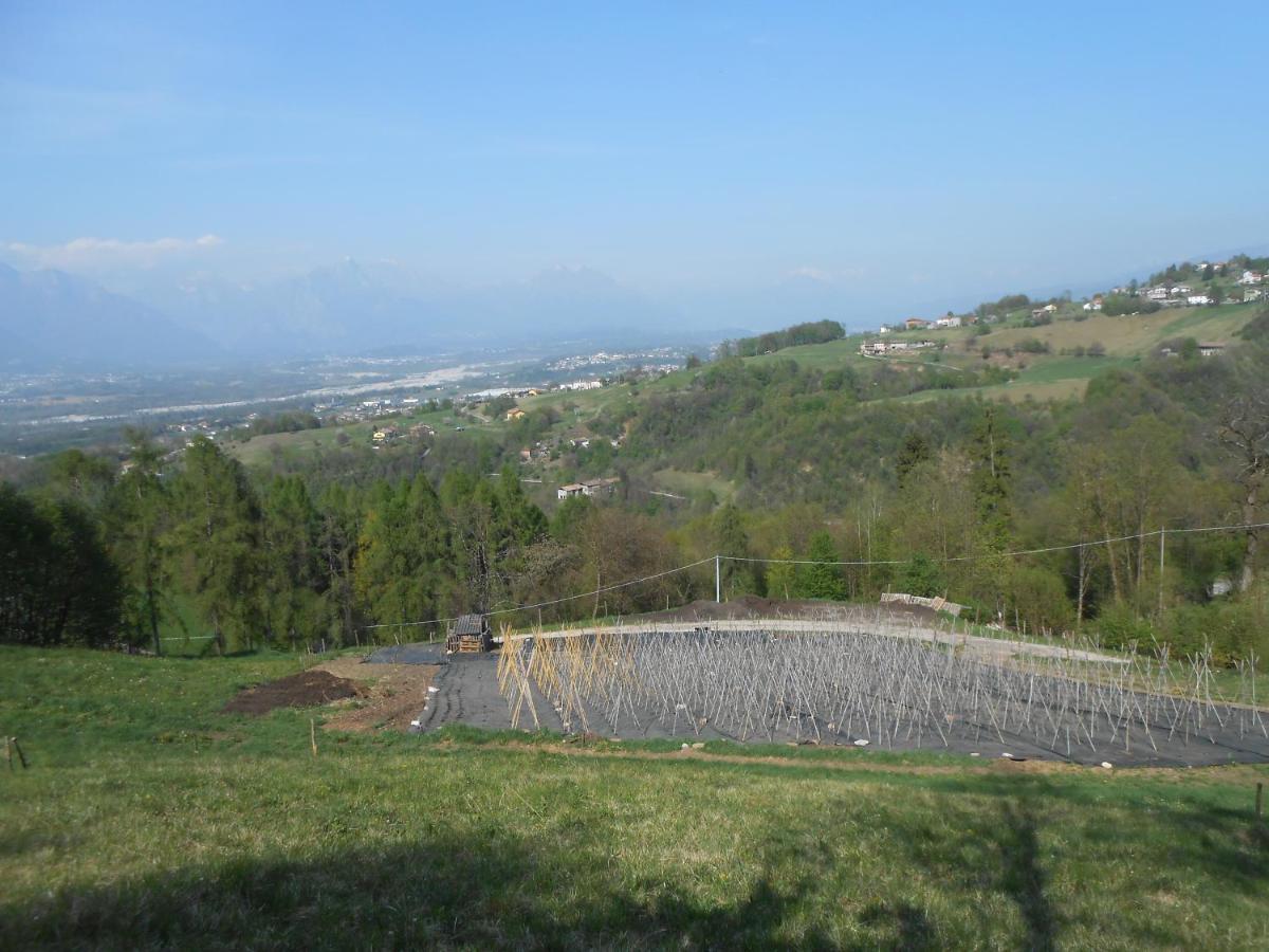 Agriturismo La Casa Nei Boschi Colderu Zewnętrze zdjęcie