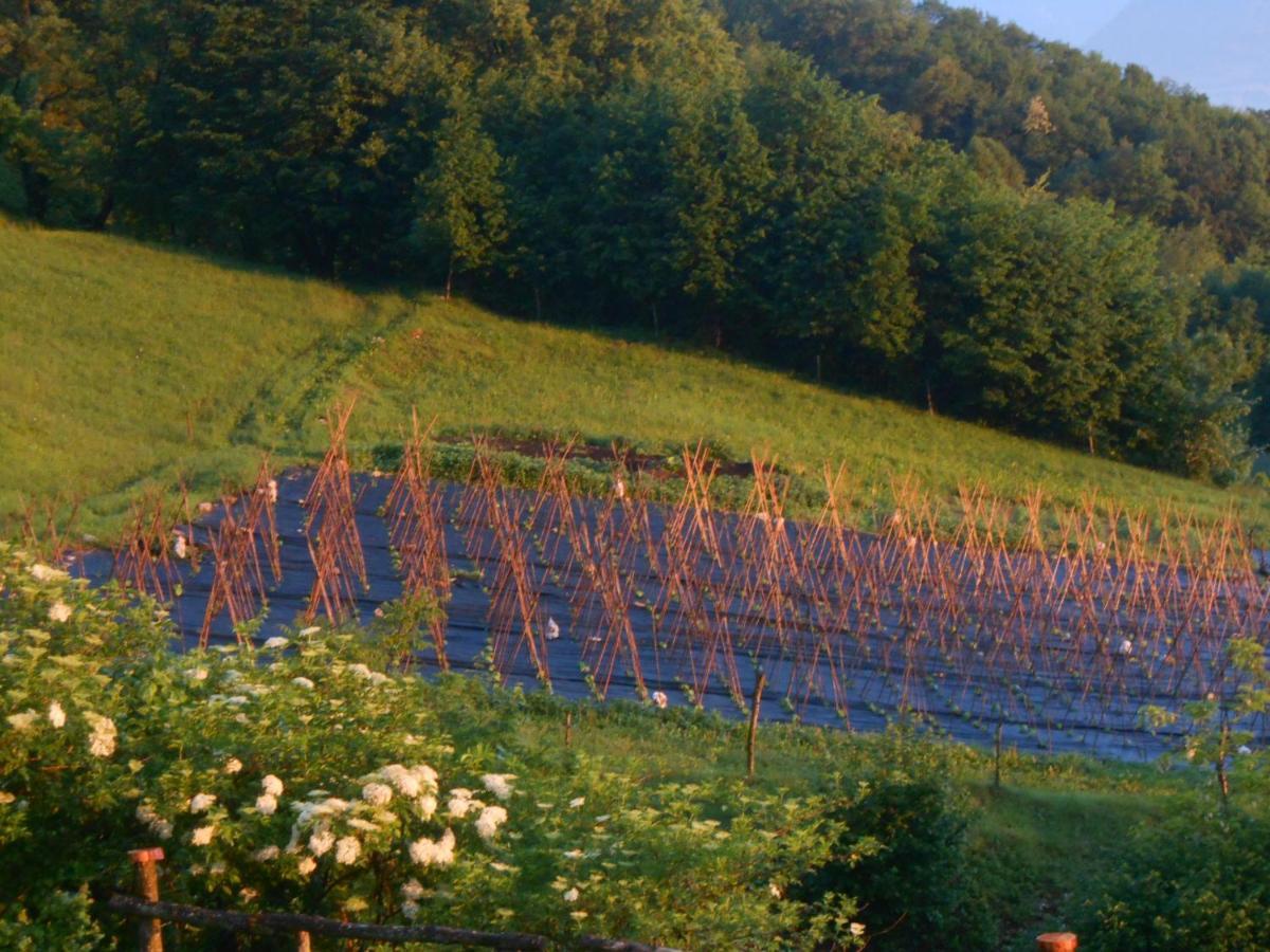 Agriturismo La Casa Nei Boschi Colderu Zewnętrze zdjęcie