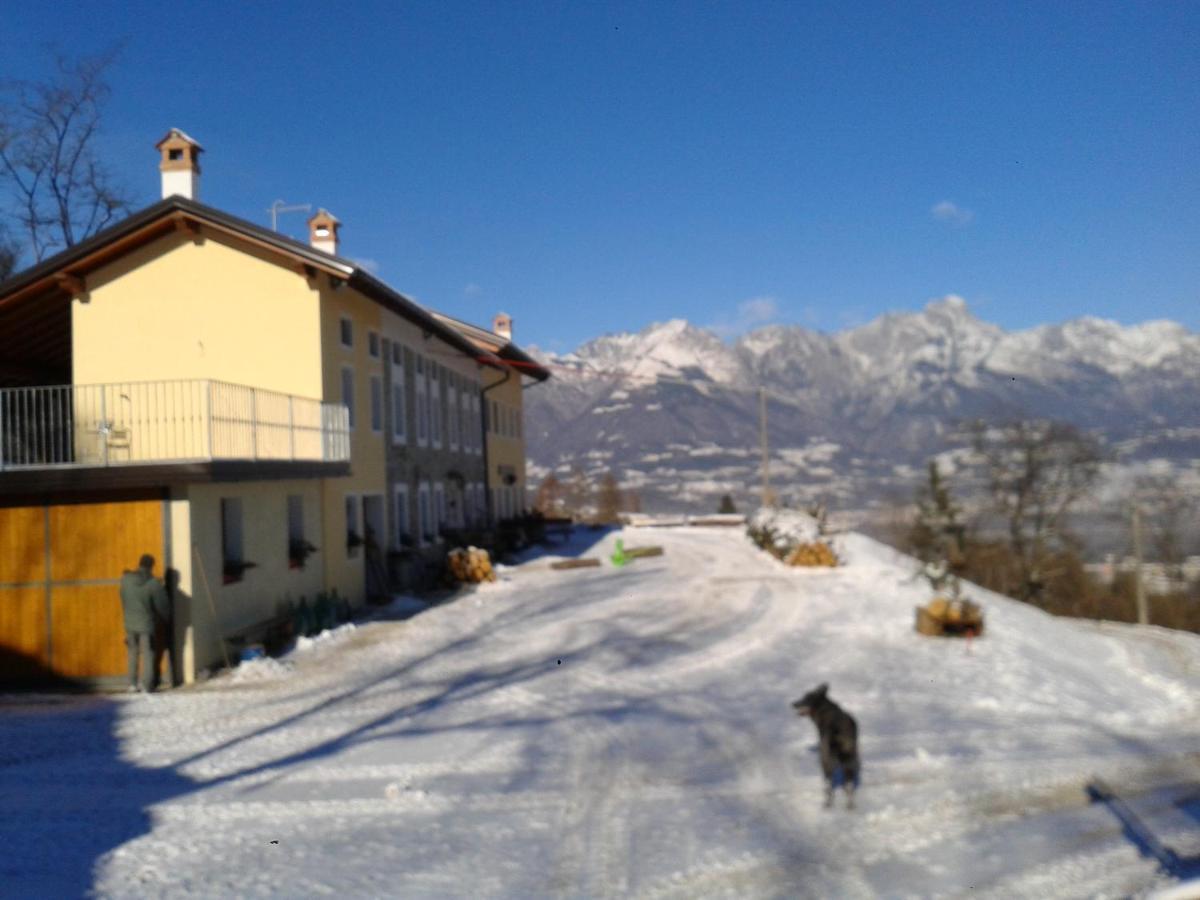 Agriturismo La Casa Nei Boschi Colderu Zewnętrze zdjęcie