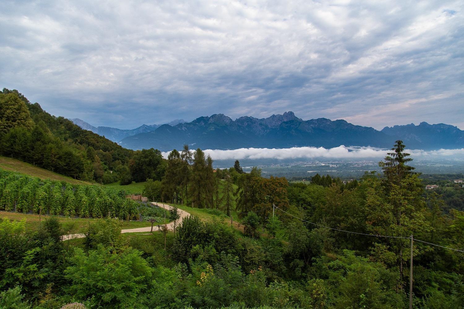 Agriturismo La Casa Nei Boschi Colderu Zewnętrze zdjęcie