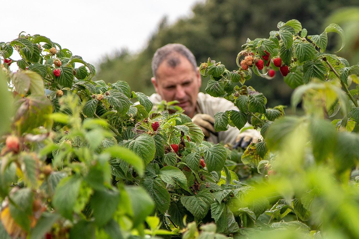 Agriturismo La Casa Nei Boschi Colderu Zewnętrze zdjęcie